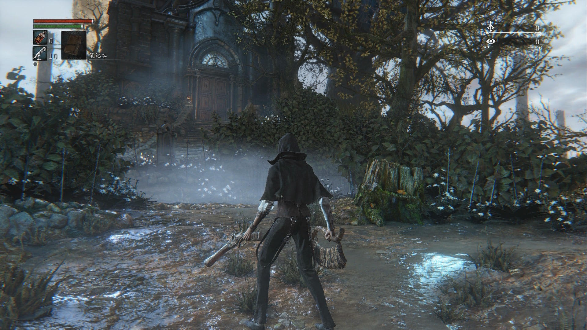 血源诅咒|29G大小|官方中文|Bloodborne